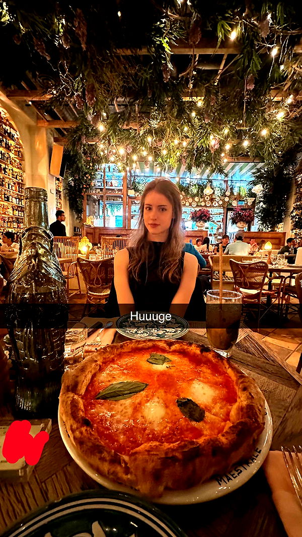 mira.0004 image ~ Altpins