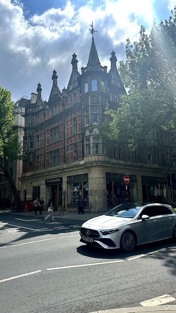 mira.0004 image ~ Altpins