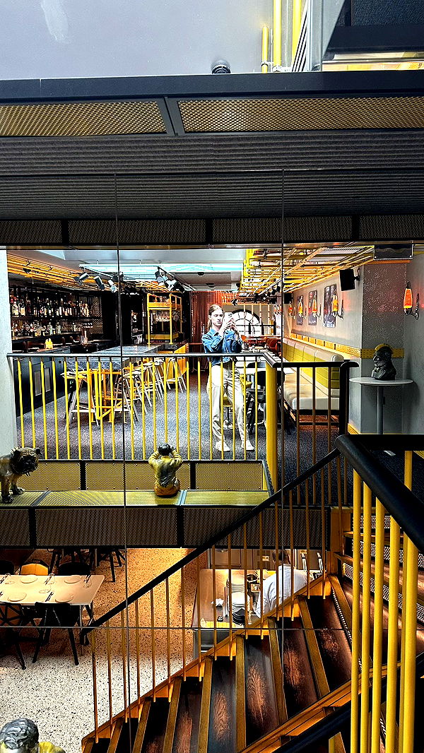 mira.0004 image ~ Altpins