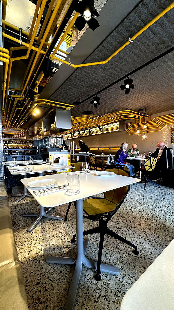 mira.0004 image ~ Altpins