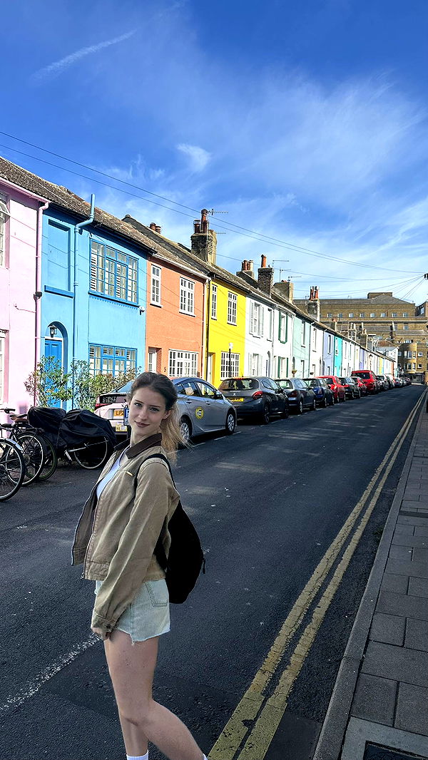 mira.0004 image ~ Altpins