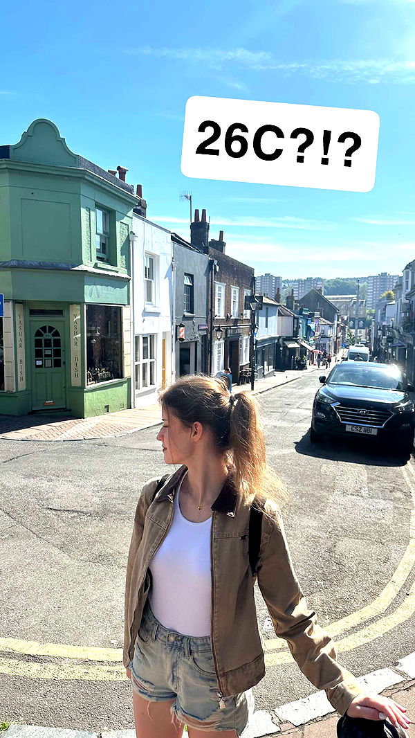 mira.0004 image ~ Altpins