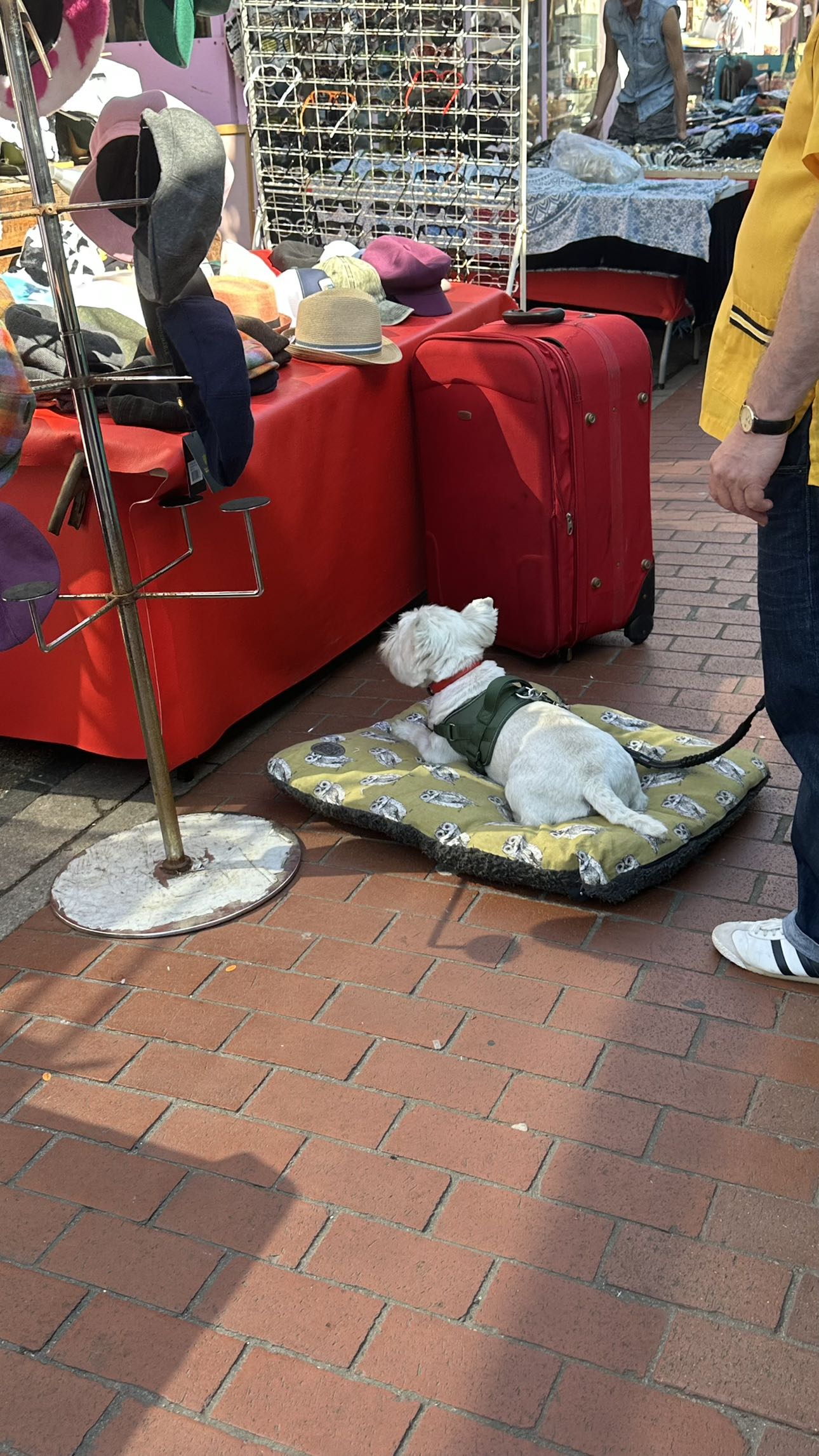 mira.0004 snapchat image archive image