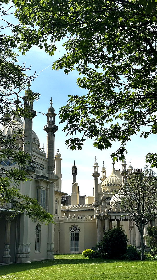 mira.0004 image ~ Altpins