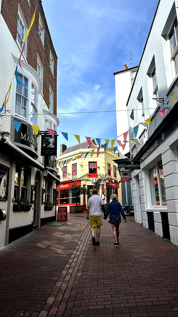 mira.0004 image ~ Altpins