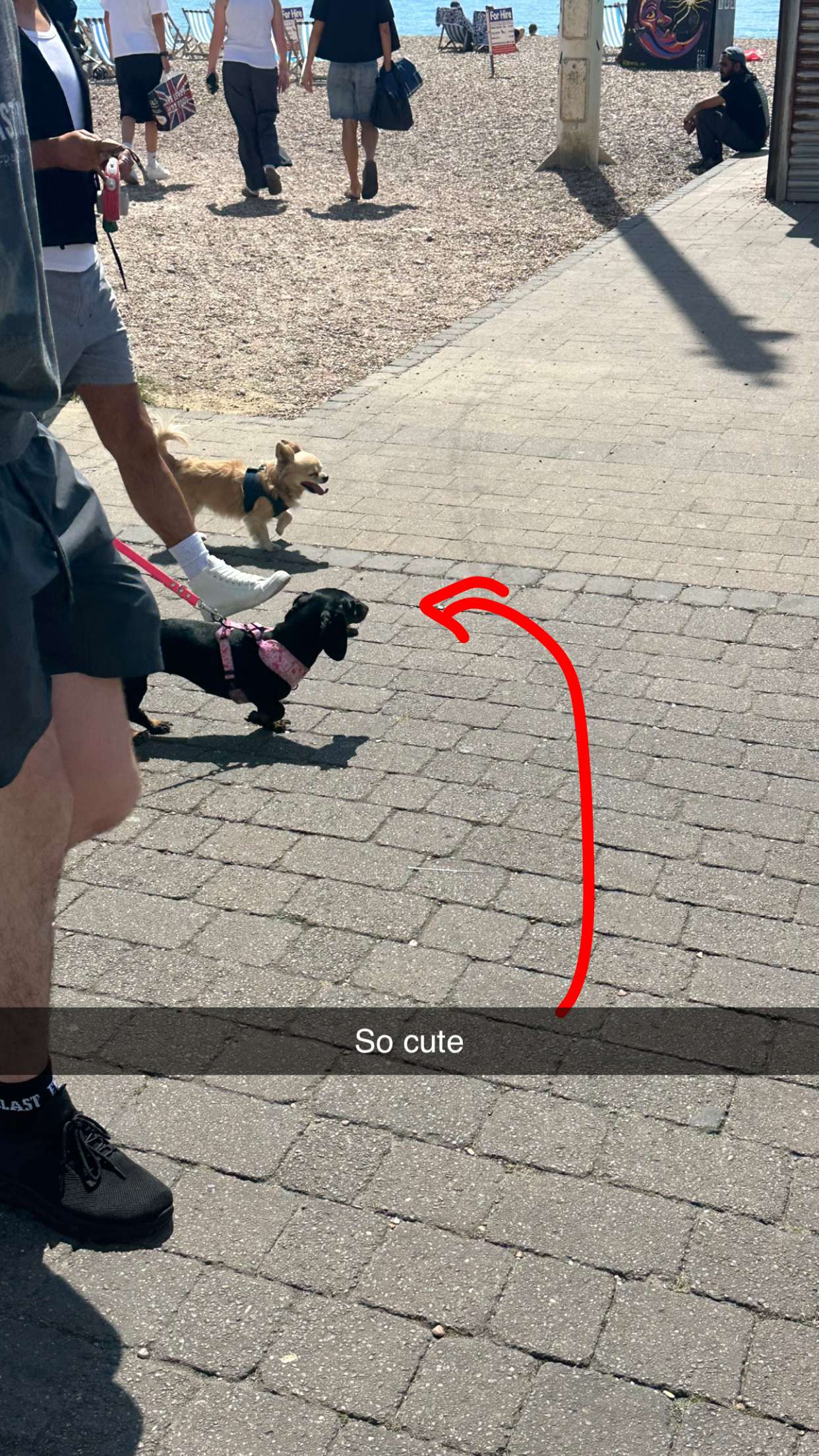 mira.0004 snapchat image archive image