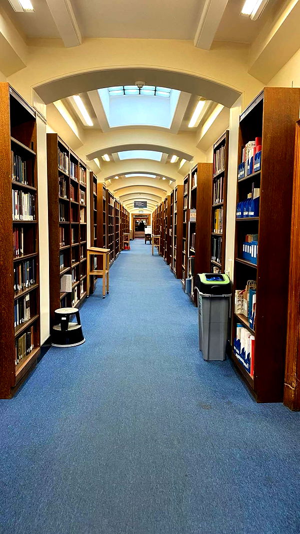 mira.0004 image ~ Altpins