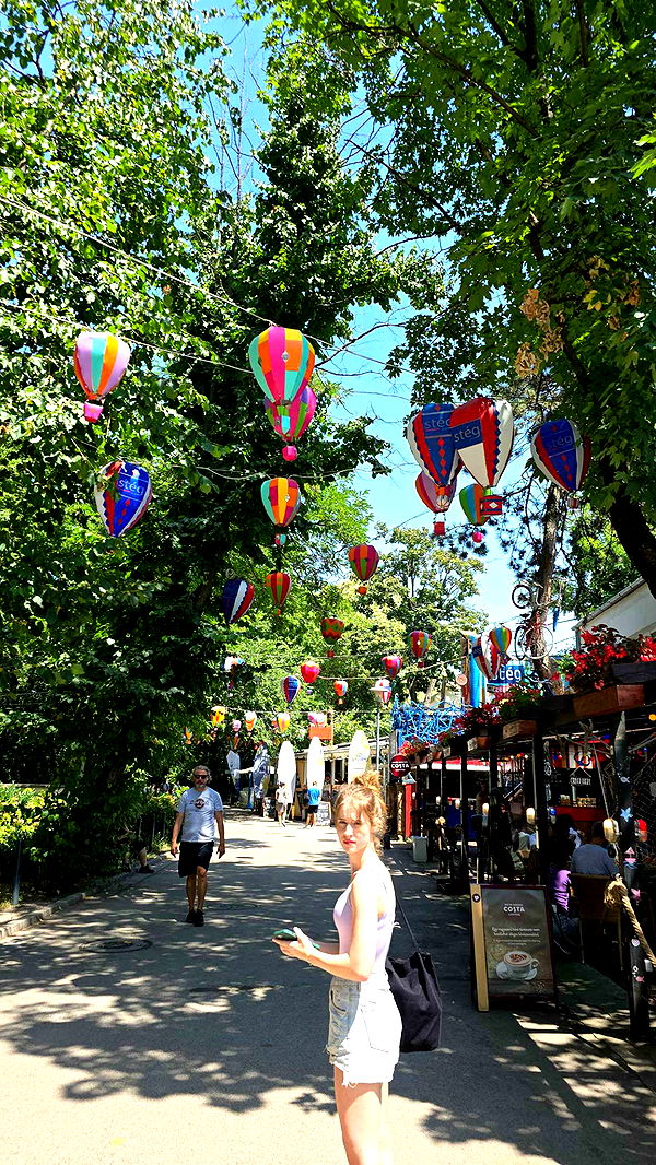 mira.0004 image ~ Altpins