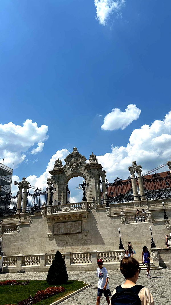 mira.0004 image ~ Altpins