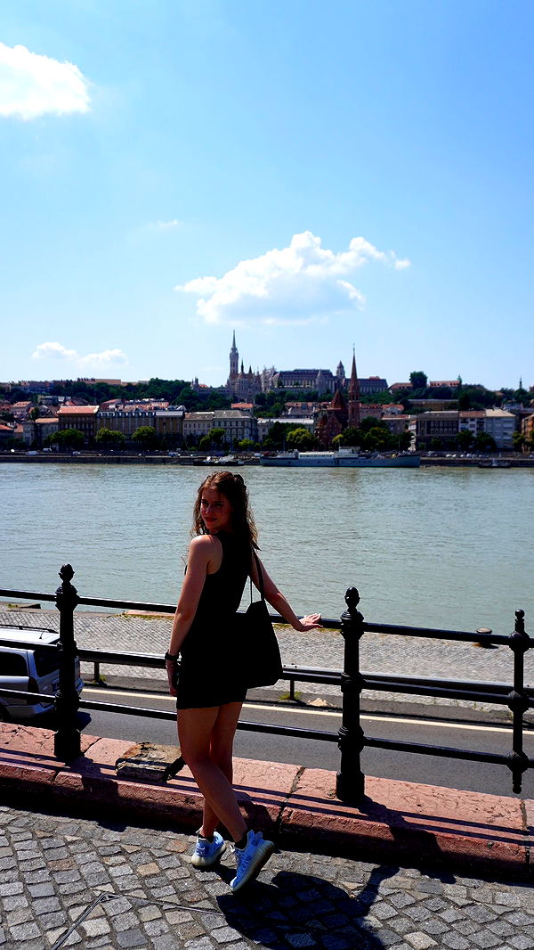 mira.0004 image ~ Altpins