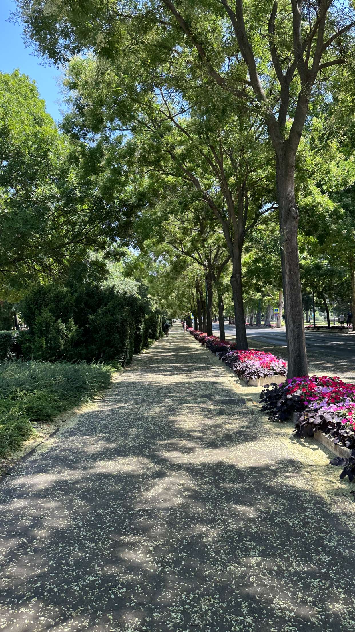 mira.0004 snapchat image archive image