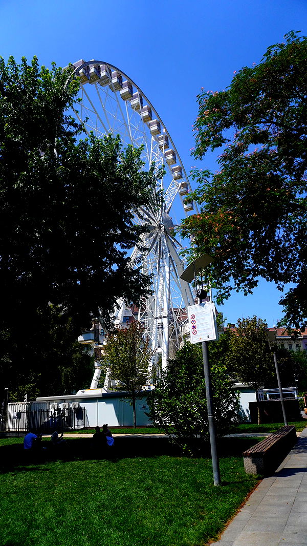 mira.0004 image ~ Altpins