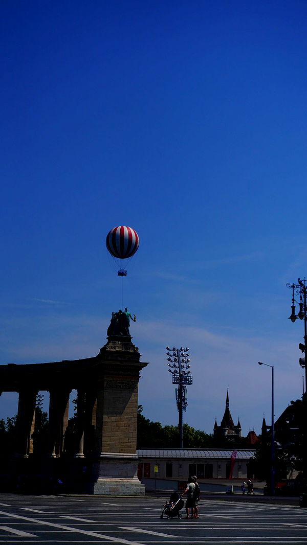 mira.0004 image ~ Altpins