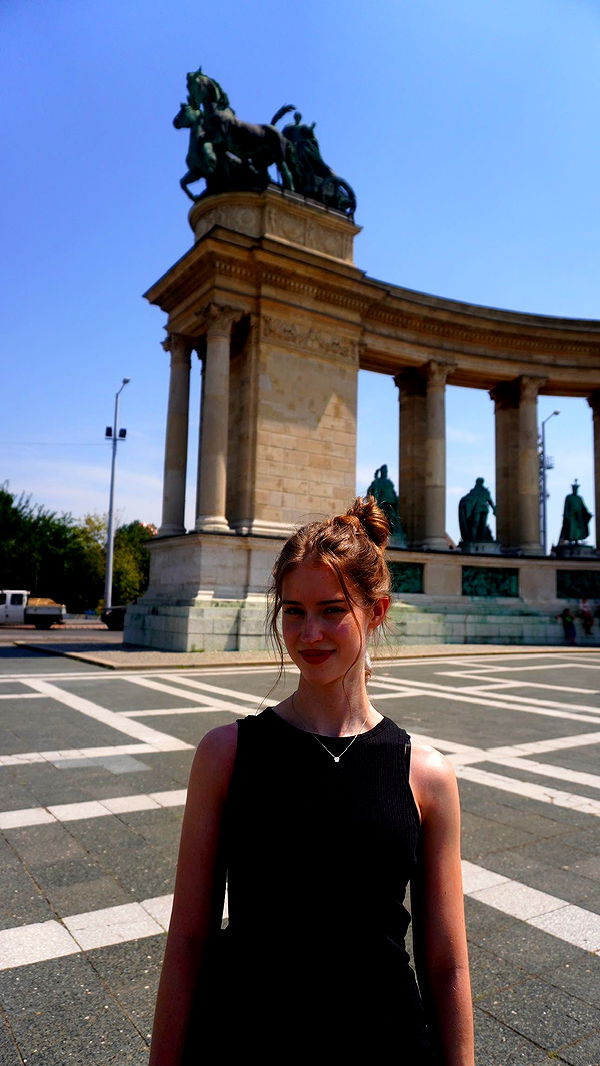 mira.0004 image ~ Altpins