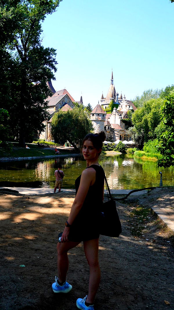 mira.0004 image ~ Altpins