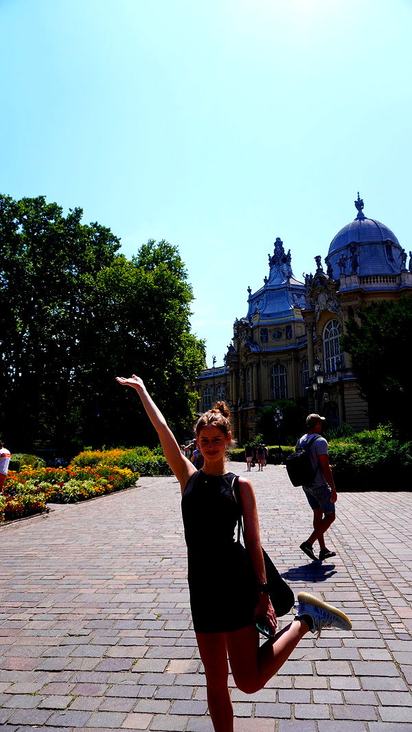 mira.0004 image ~ Altpins