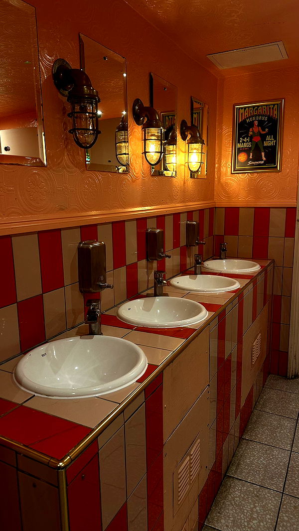 mira.0004 image ~ Altpins