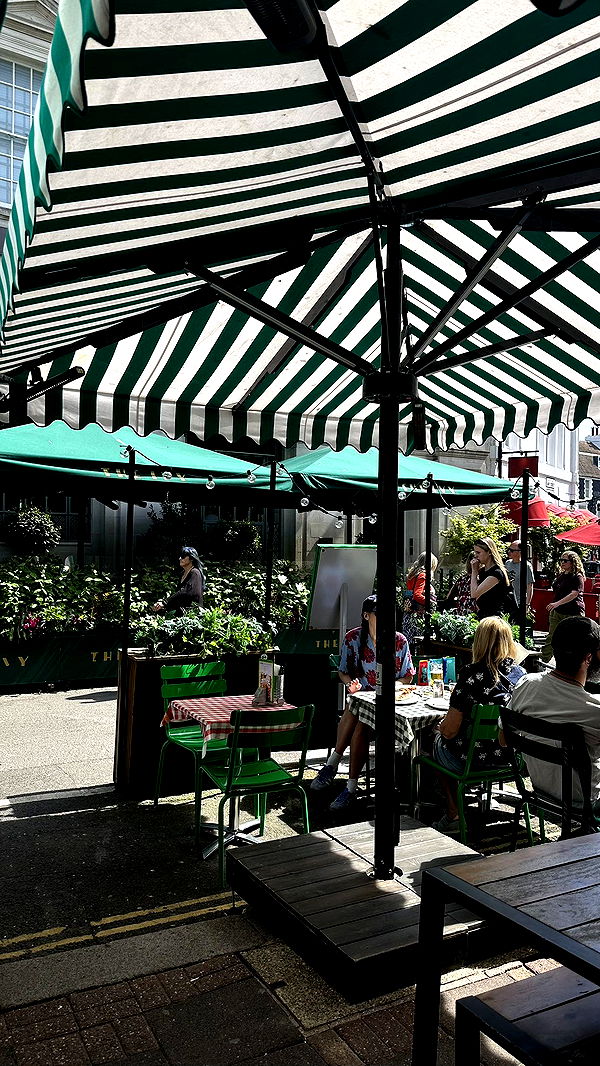 mira.0004 image ~ Altpins