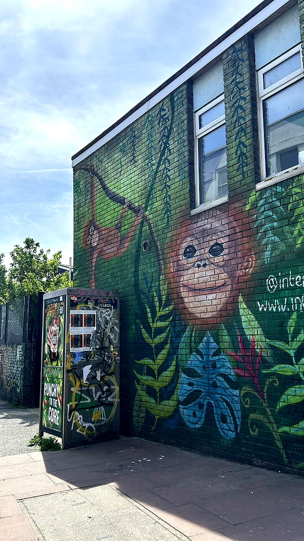 mira.0004 image ~ Altpins