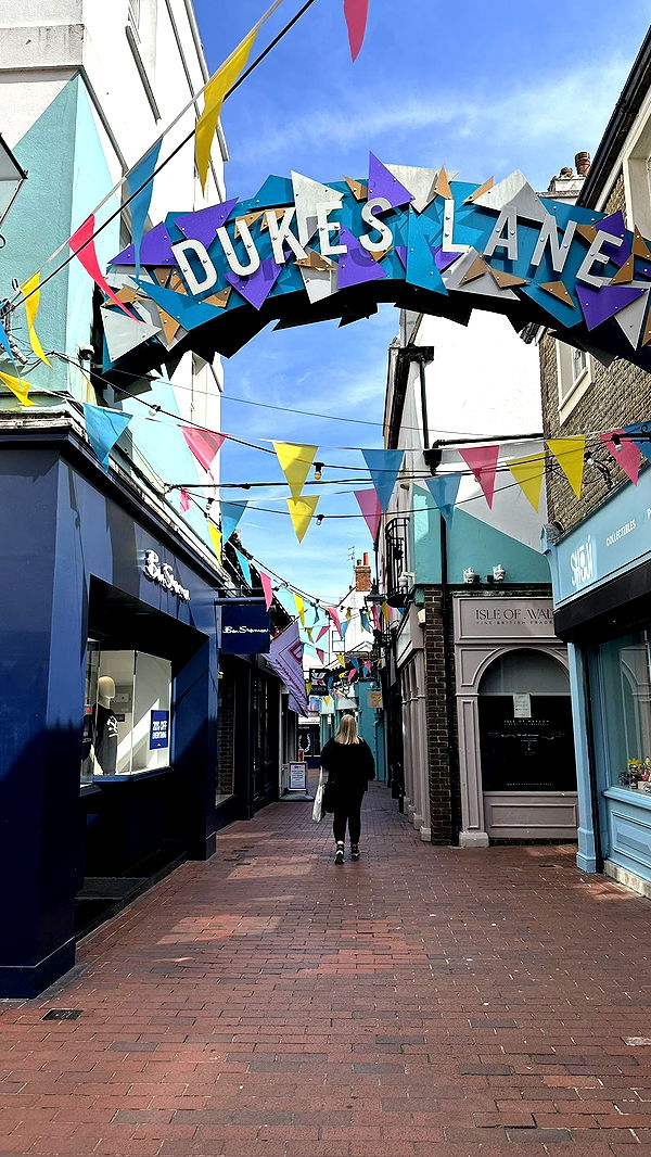 mira.0004 image ~ Altpins