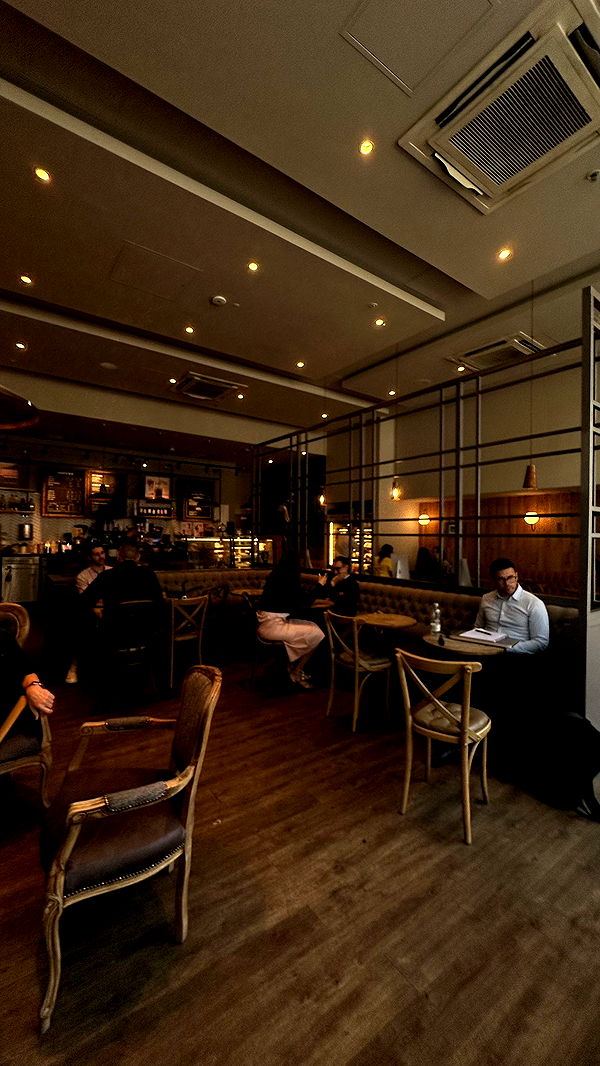 mira.0004 image ~ Altpins