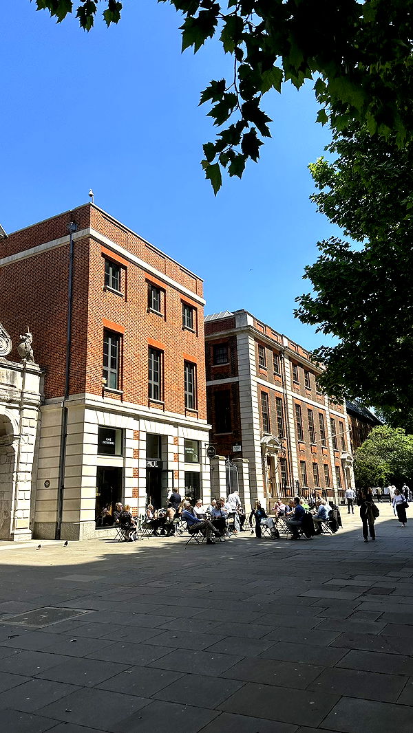 mira.0004 image ~ Altpins