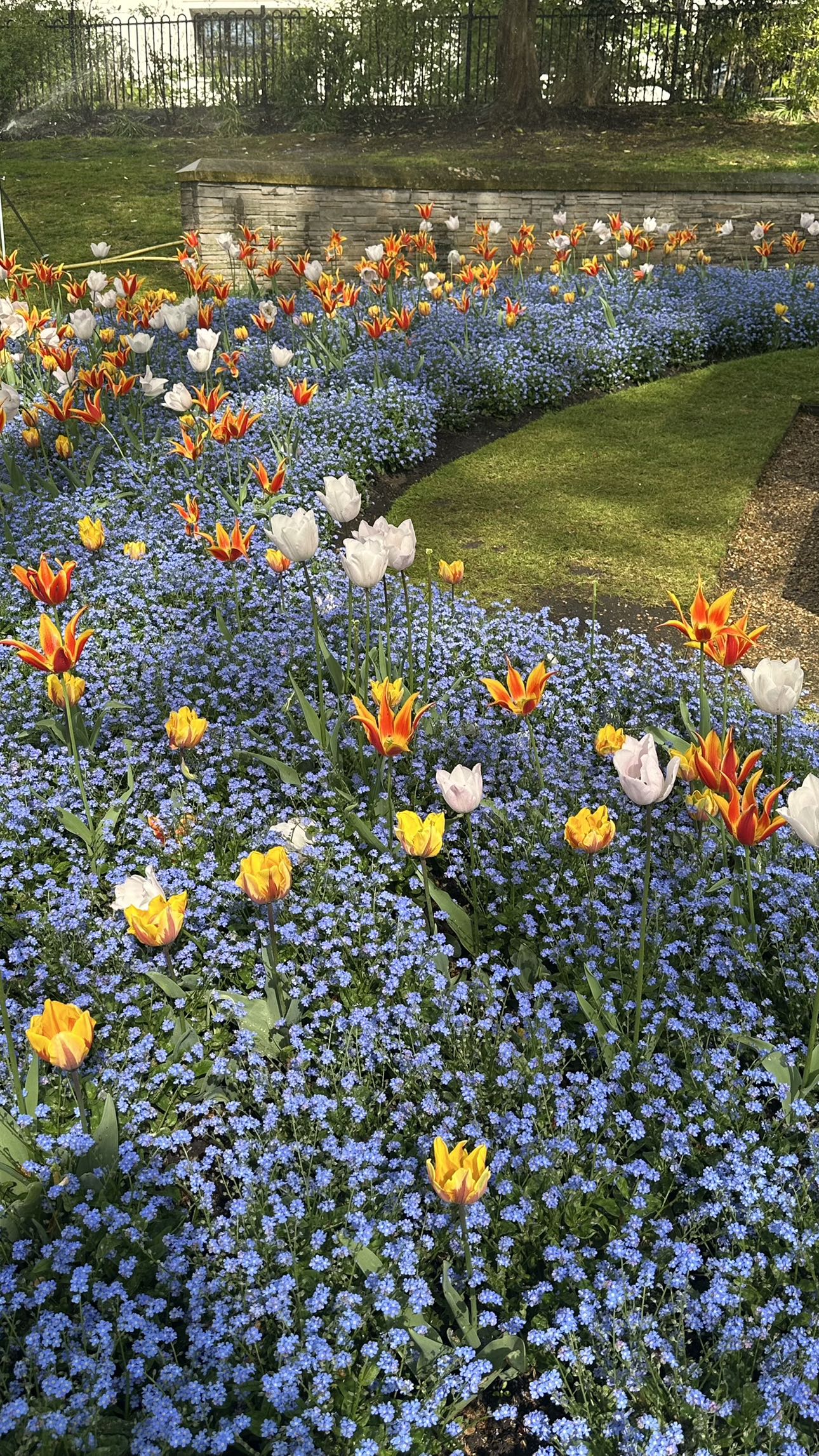 mira.0004 snapchat image archive image