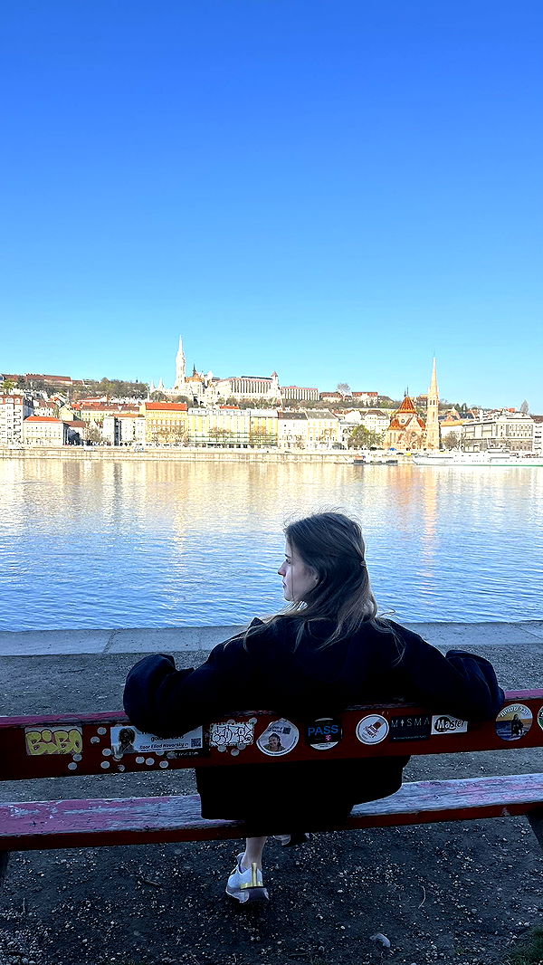 mira.0004 image ~ Altpins