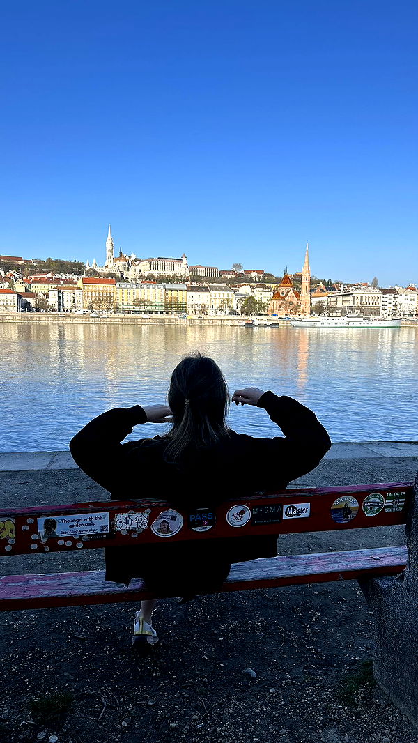 mira.0004 image ~ Altpins