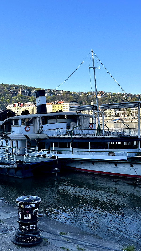 mira.0004 image ~ Altpins