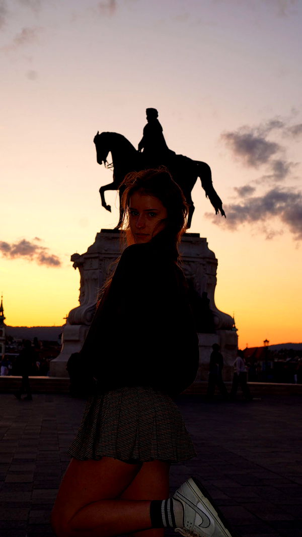 mira.0004 image ~ Altpins