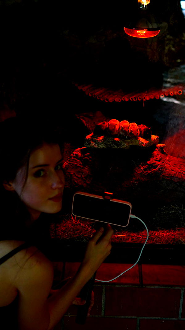 mira.0004 image ~ Altpins