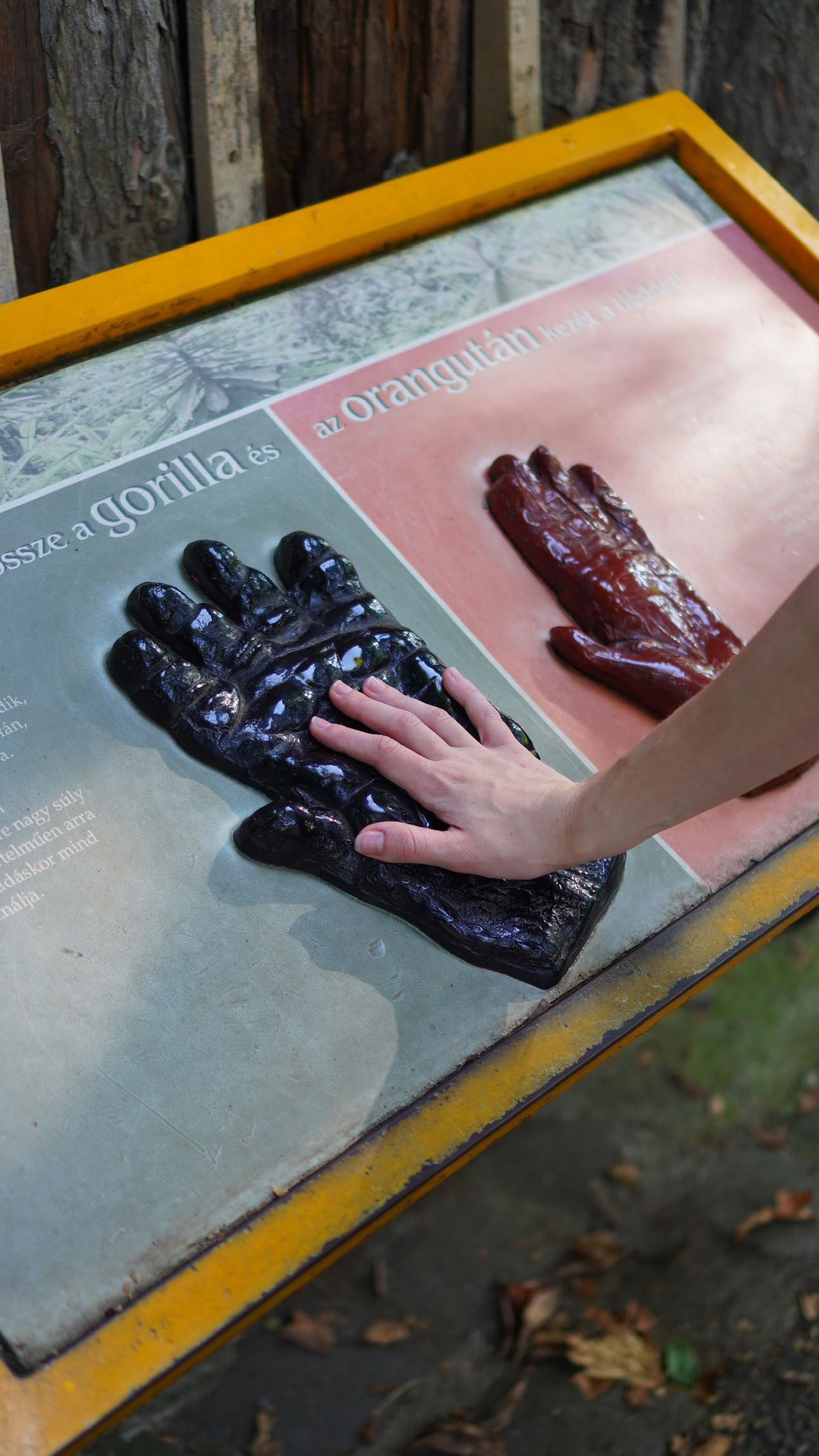 mira.0004 snapchat image archive image