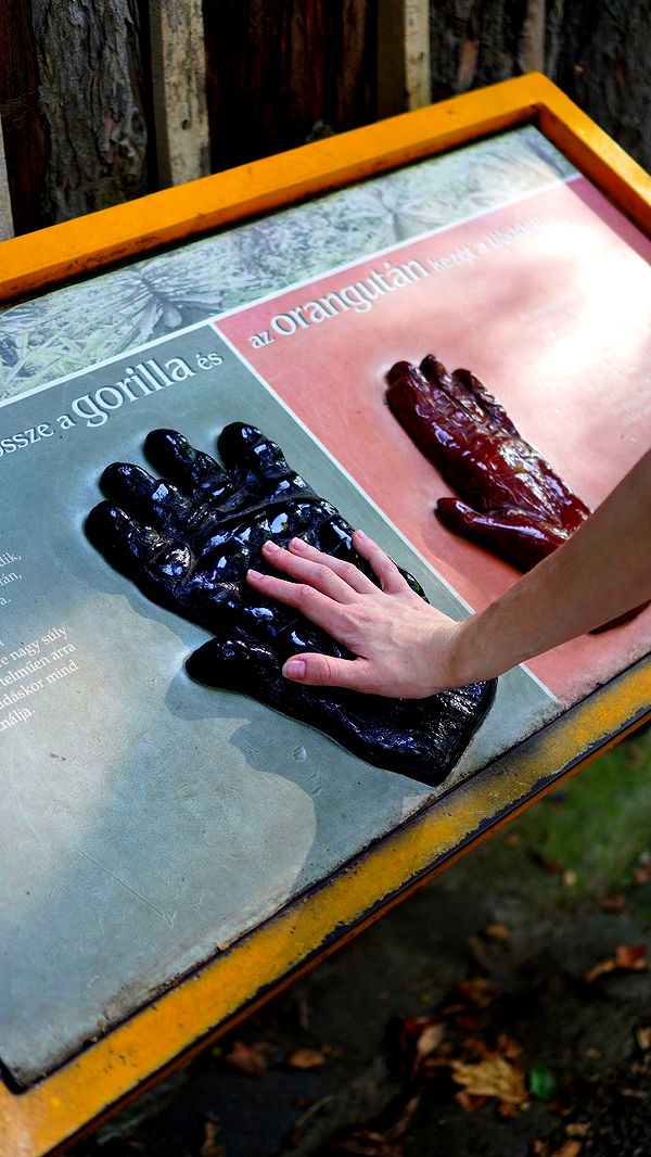 mira.0004 image ~ Altpins