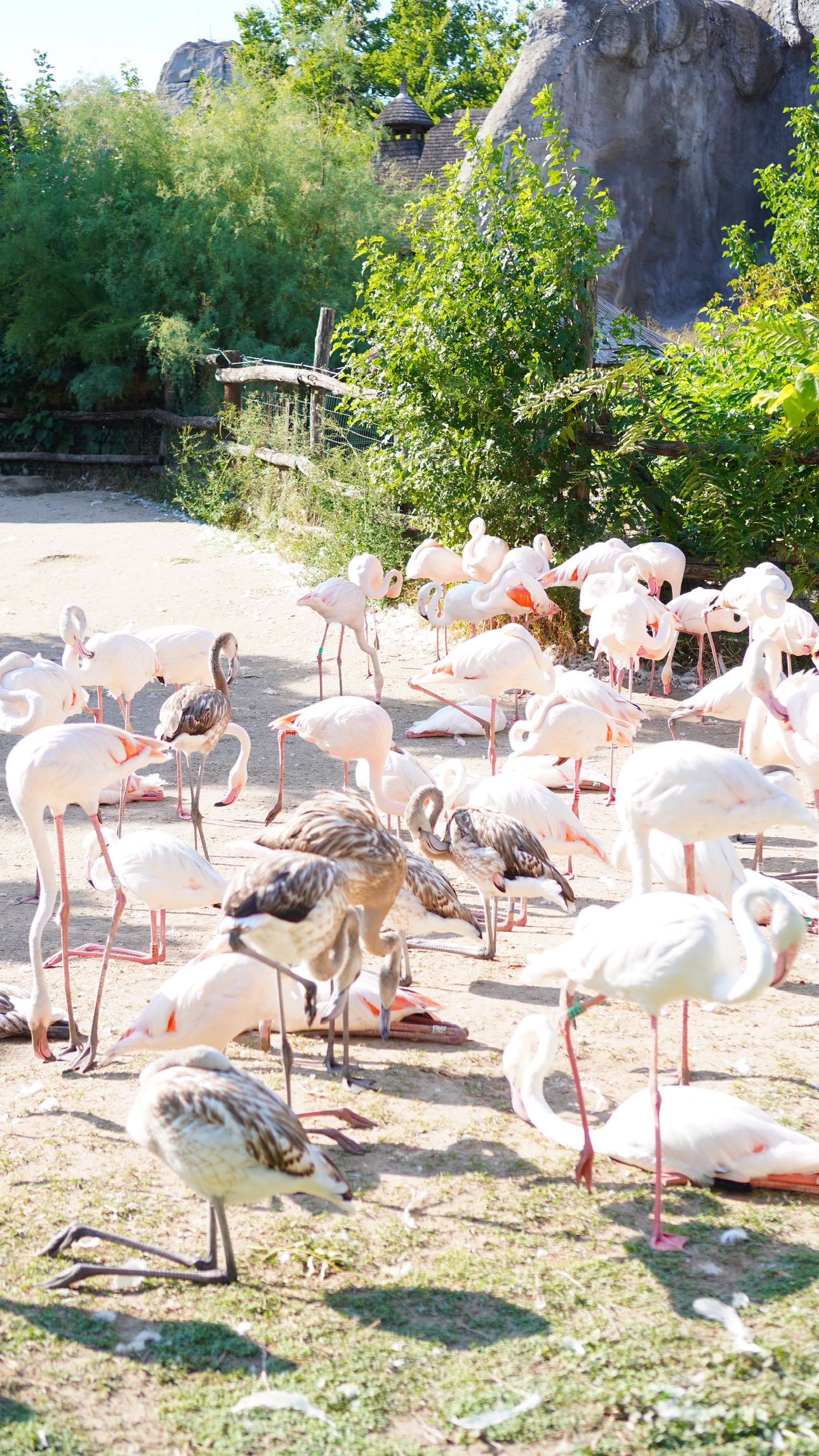 mira.0004 snapchat image archive image