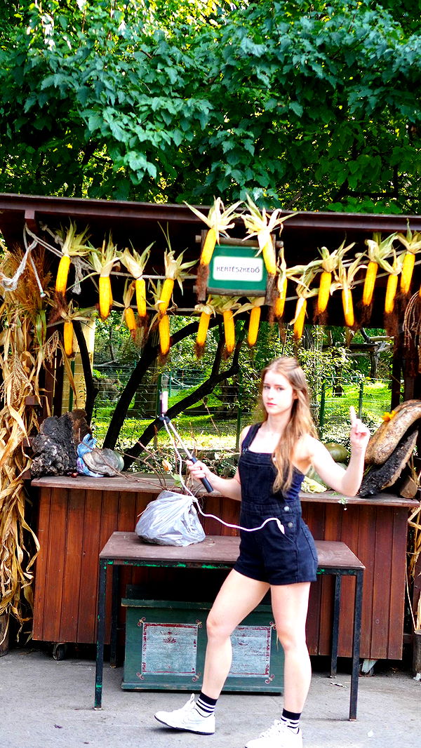 mira.0004 image ~ Altpins