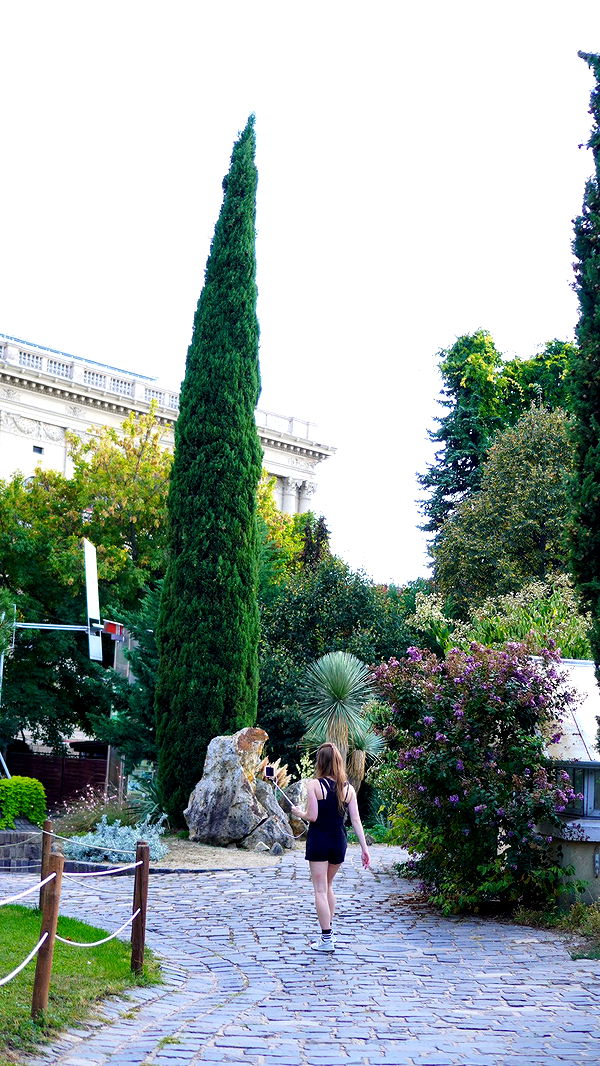 mira.0004 image ~ Altpins