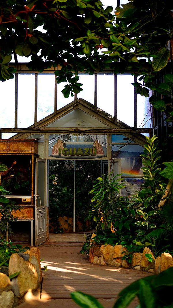 mira.0004 image ~ Altpins