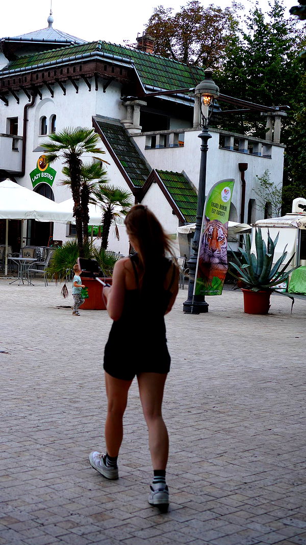 mira.0004 image ~ Altpins