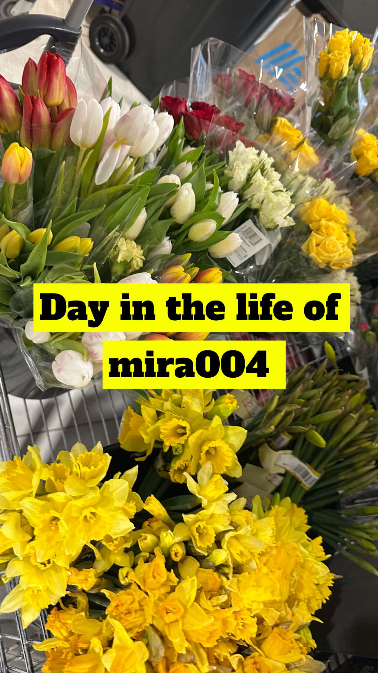 mira.0004 snapchat image archive image