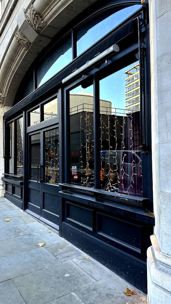 mira.0004 image ~ Altpins