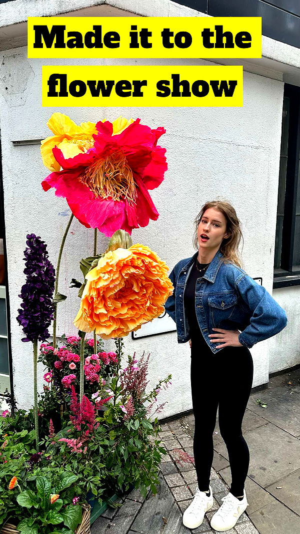 mira.0004 image ~ Altpins