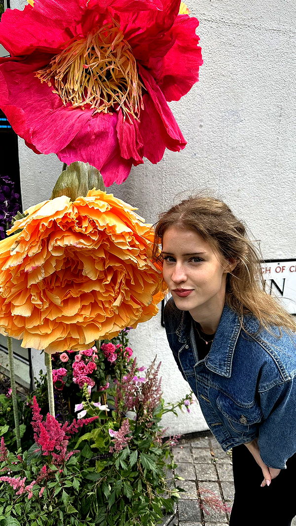 mira.0004 image ~ Altpins