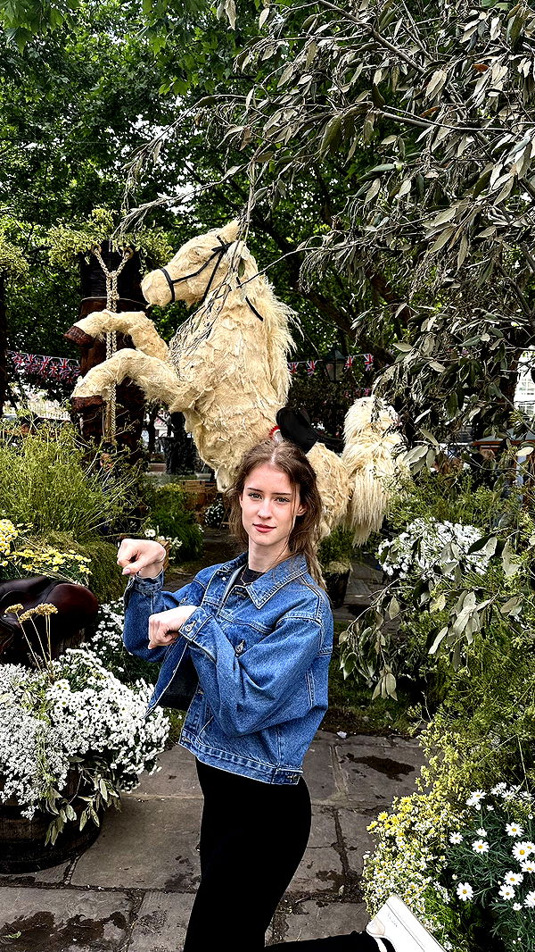 mira.0004 image ~ Altpins