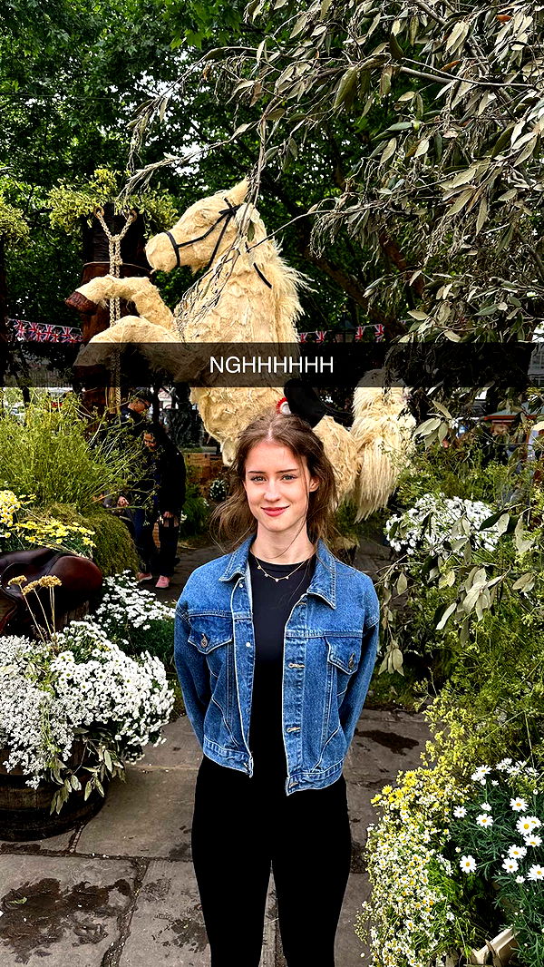 mira.0004 image ~ Altpins