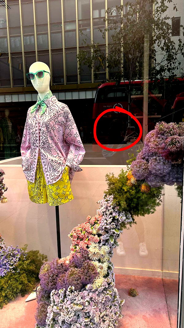 mira.0004 image ~ Altpins