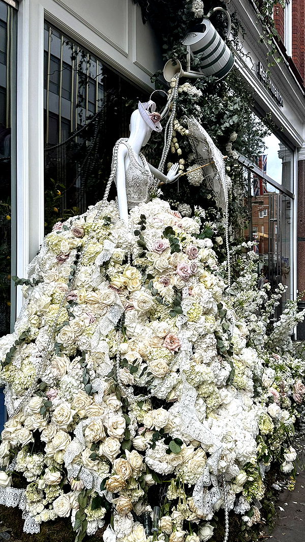 mira.0004 image ~ Altpins