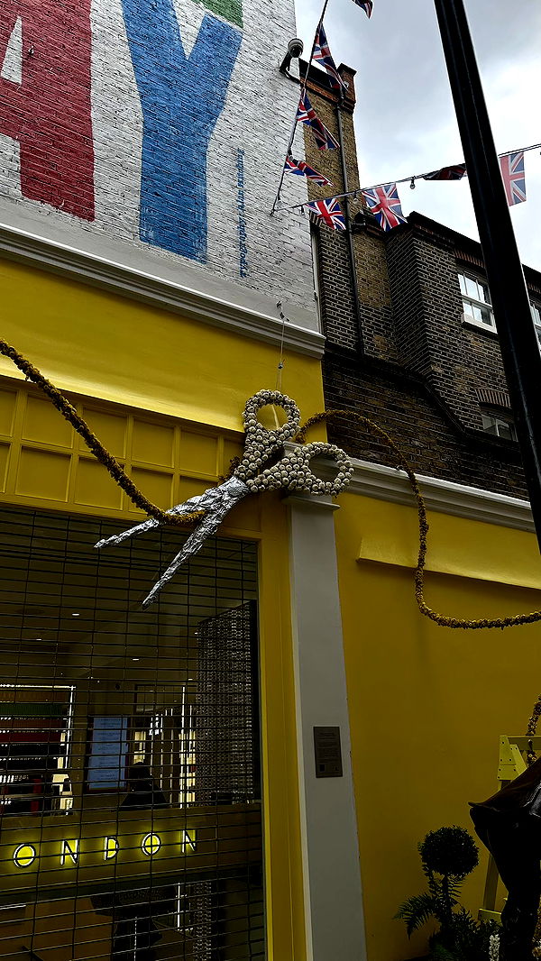 mira.0004 image ~ Altpins