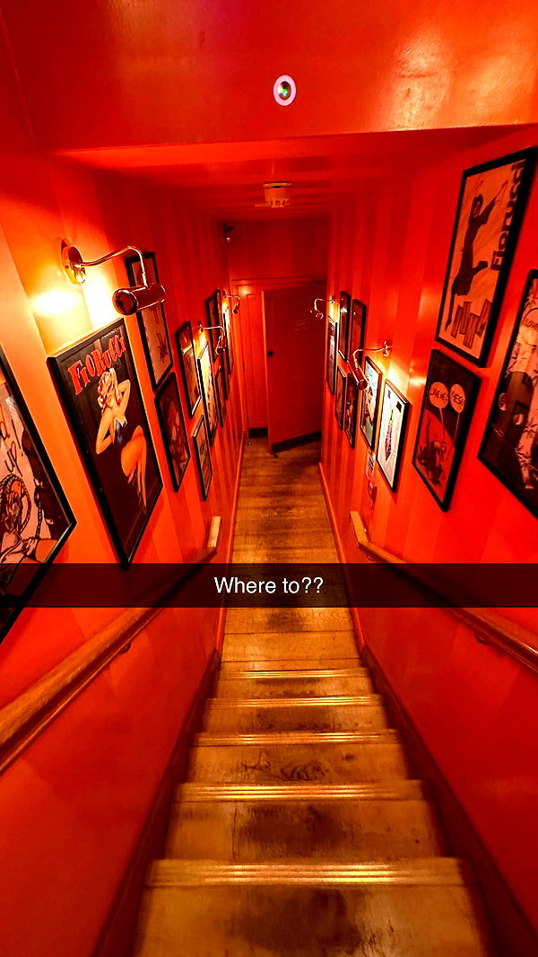 mira.0004 image ~ Altpins