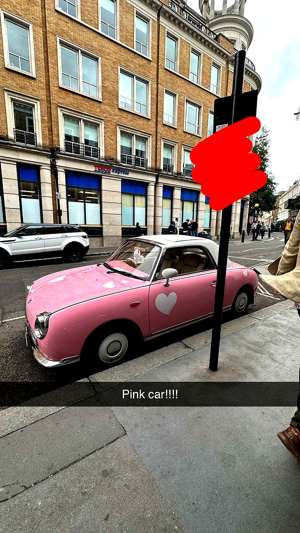 mira.0004 image ~ Altpins